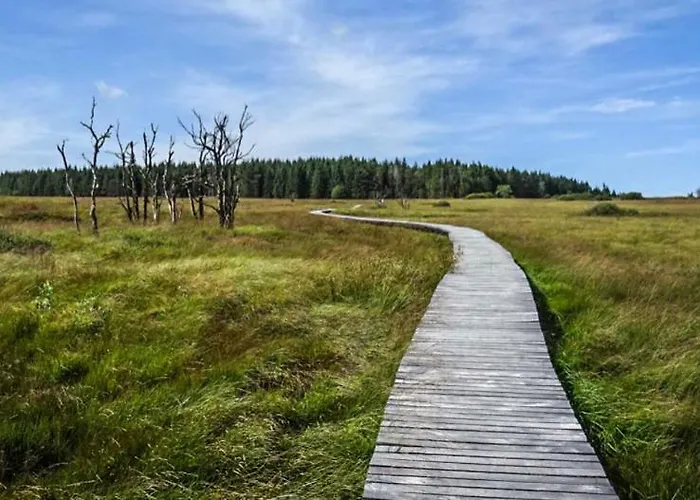 Appartement Happy Duplex